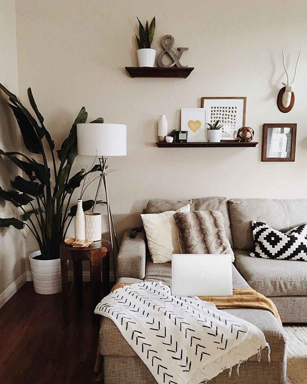 Cozy Livingroom For Your Family 19