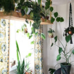Amazing House Plants Indoor Decor Ideas Must 20