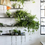 Amazing House Plants Indoor Decor Ideas Must 24