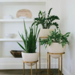 Amazing House Plants Indoor Decor Ideas Must 44