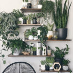 Amazing House Plants Indoor Decor Ideas Must 45