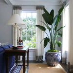 Amazing House Plants Indoor Decor Ideas Must 48