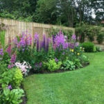 Amazing Low Maintenance Garden Landscaping Ideas 15