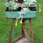 Amazing Succulents Garden Decor Ideas 02