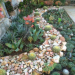 Amazing Succulents Garden Decor Ideas 03
