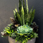 Amazing Succulents Garden Decor Ideas 13