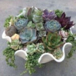 Amazing Succulents Garden Decor Ideas 14