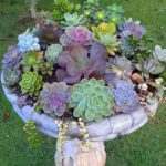 Amazing Succulents Garden Decor Ideas 18