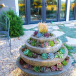 Amazing Succulents Garden Decor Ideas 21
