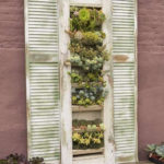 Amazing Succulents Garden Decor Ideas 30