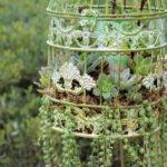 Amazing Succulents Garden Decor Ideas 32
