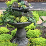 Amazing Succulents Garden Decor Ideas 33