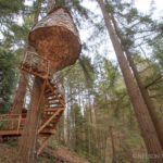 Awesome Treehouse Masters Design Ideas Will Make Dream 02