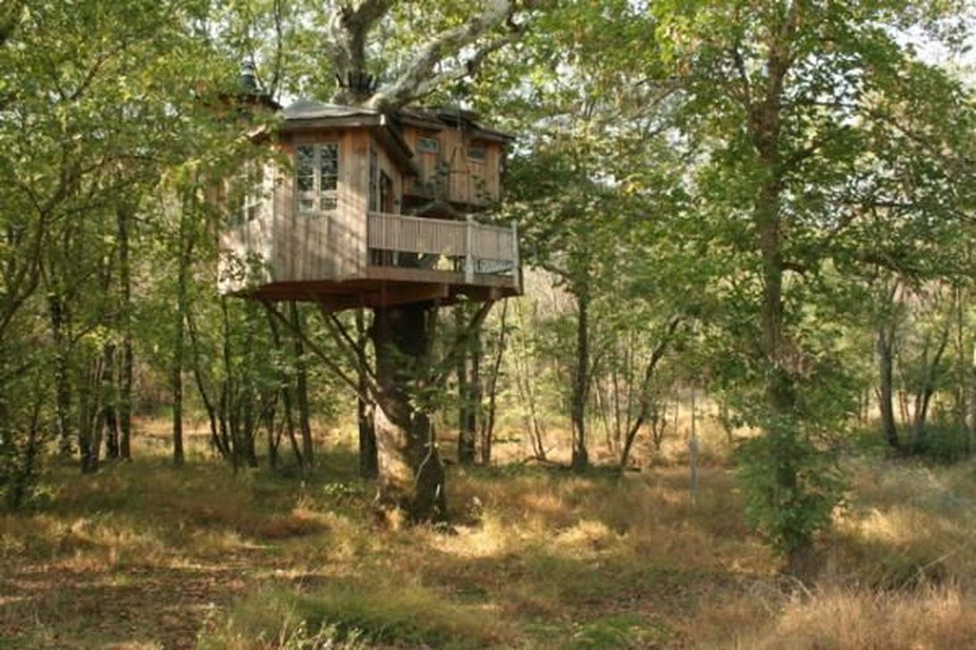 Awesome Treehouse Masters Design Ideas Will Make Dream 03