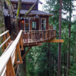Awesome Treehouse Masters Design Ideas Will Make Dream 05