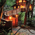 Awesome Treehouse Masters Design Ideas Will Make Dream 11