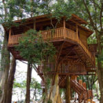 Awesome Treehouse Masters Design Ideas Will Make Dream 14
