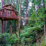 Awesome Treehouse Masters Design Ideas Will Make Dream 19
