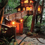 Awesome Treehouse Masters Design Ideas Will Make Dream 27