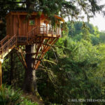 Awesome Treehouse Masters Design Ideas Will Make Dream 31