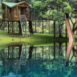 Awesome Treehouse Masters Design Ideas Will Make Dream 35