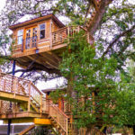 Awesome Treehouse Masters Design Ideas Will Make Dream 37
