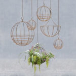 Creative Hanging Air Plants Decor Ideas 01