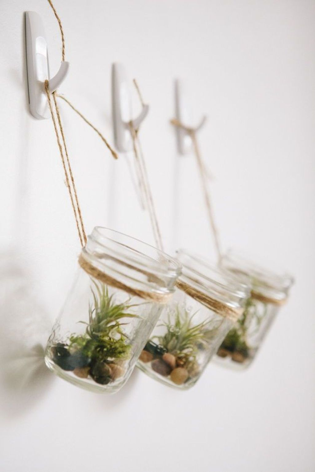 Creative Hanging Air Plants Decor Ideas 05