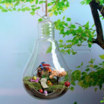 Creative Hanging Air Plants Decor Ideas 08