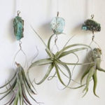 Creative Hanging Air Plants Decor Ideas 09