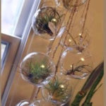 Creative Hanging Air Plants Decor Ideas 11