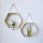 Creative Hanging Air Plants Decor Ideas 12