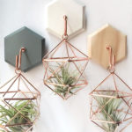 Creative Hanging Air Plants Decor Ideas 16