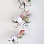 Creative Hanging Air Plants Decor Ideas 17