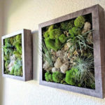 Creative Hanging Air Plants Decor Ideas 19