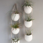 Creative Hanging Air Plants Decor Ideas 22