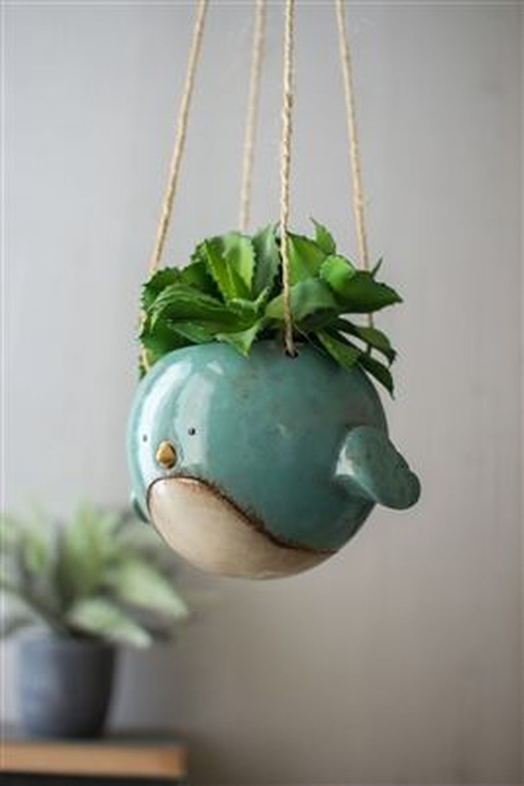 Creative Hanging Air Plants Decor Ideas 25