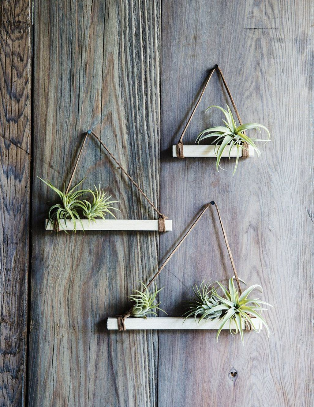 Creative Hanging Air Plants Decor Ideas 28