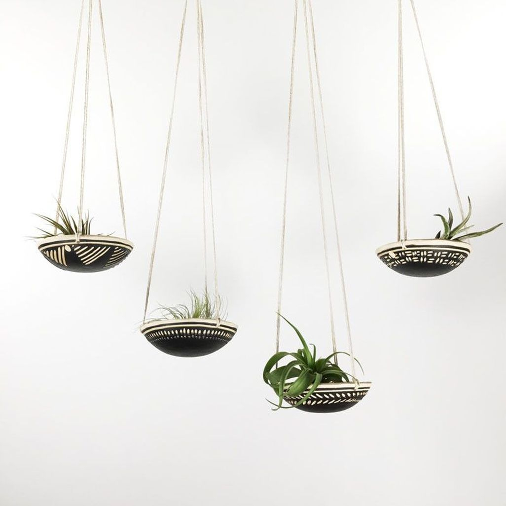 Creative Hanging Air Plants Decor Ideas 31