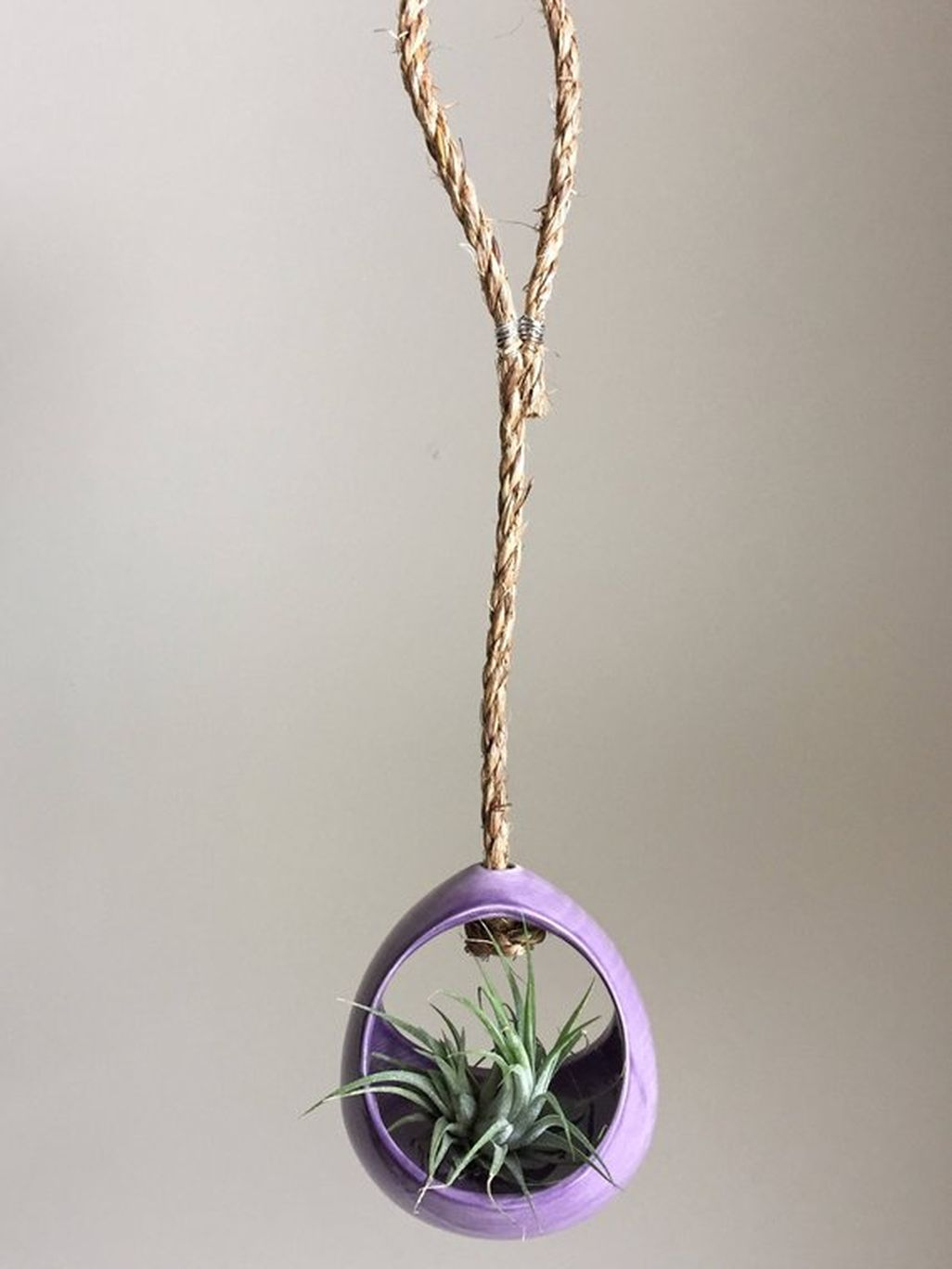 Creative Hanging Air Plants Decor Ideas 40