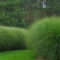 Amazing Evergreen Grasses Landscaping Ideas15