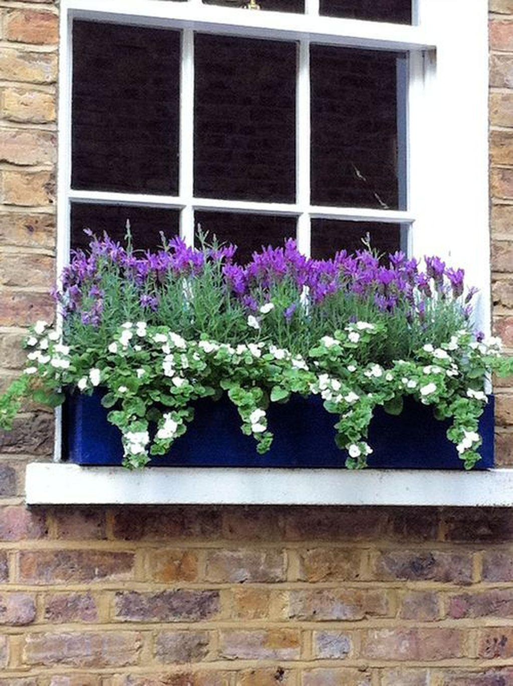Amazing Windows Flower Boxes Design Ideas Must See01