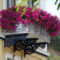 Amazing Windows Flower Boxes Design Ideas Must See04