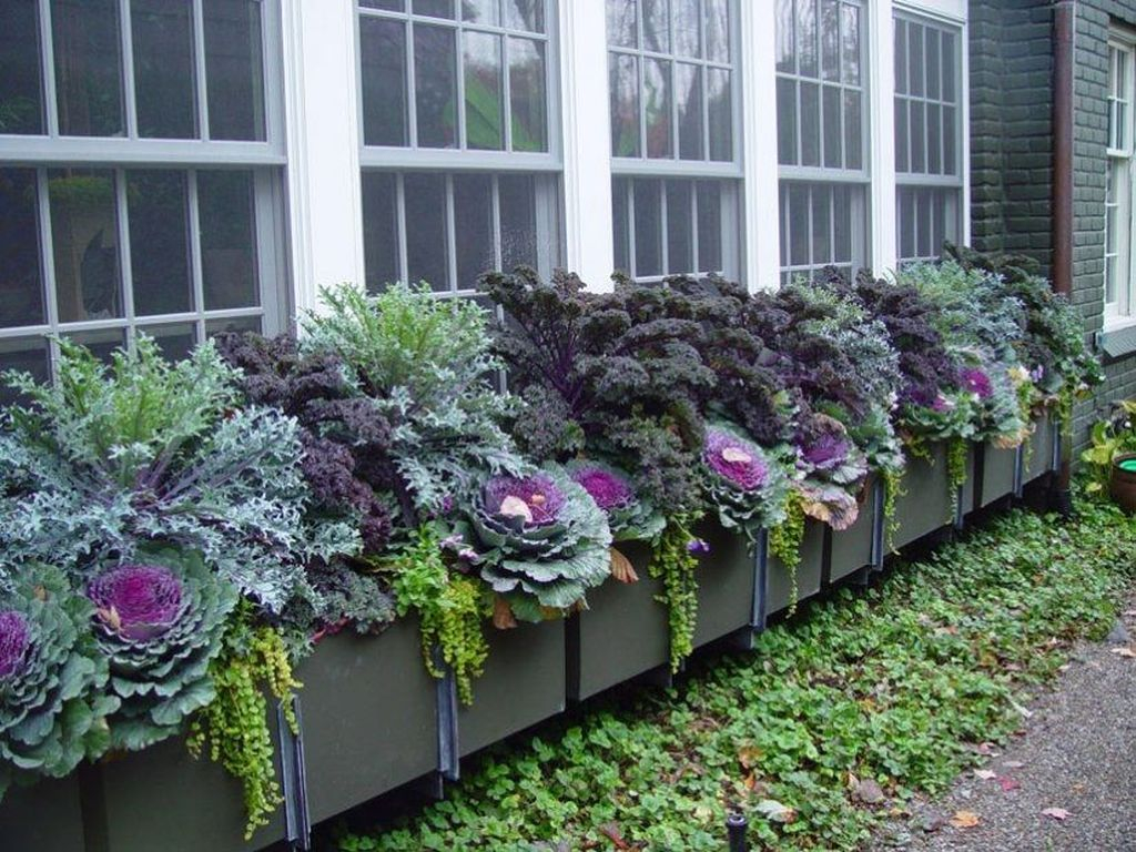 Amazing Windows Flower Boxes Design Ideas Must See08