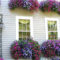 Amazing Windows Flower Boxes Design Ideas Must See10