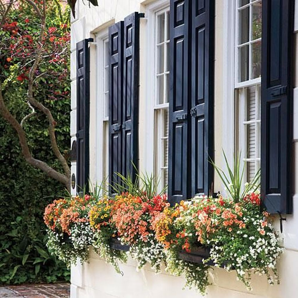 Amazing Windows Flower Boxes Design Ideas Must See11