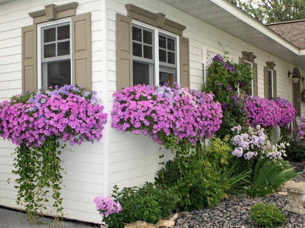 Amazing Windows Flower Boxes Design Ideas Must See13
