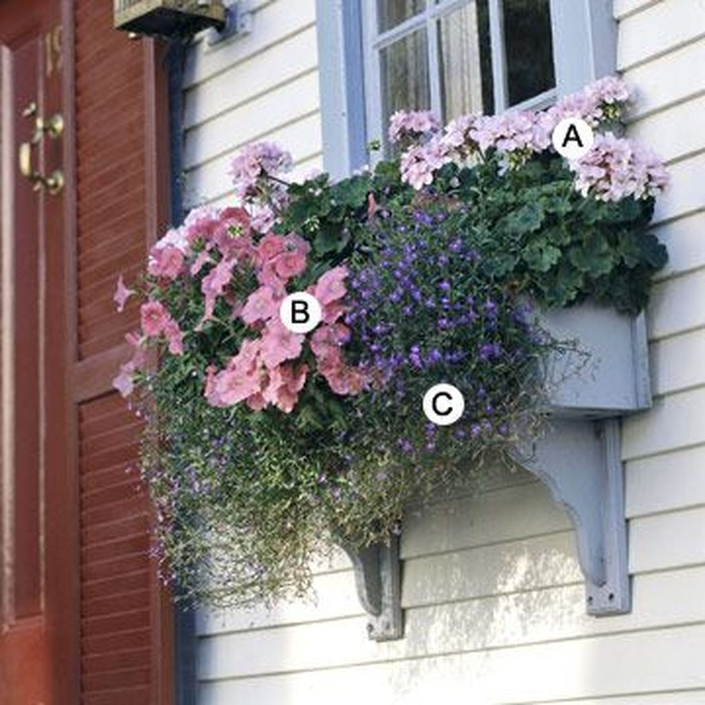 Amazing Windows Flower Boxes Design Ideas Must See16