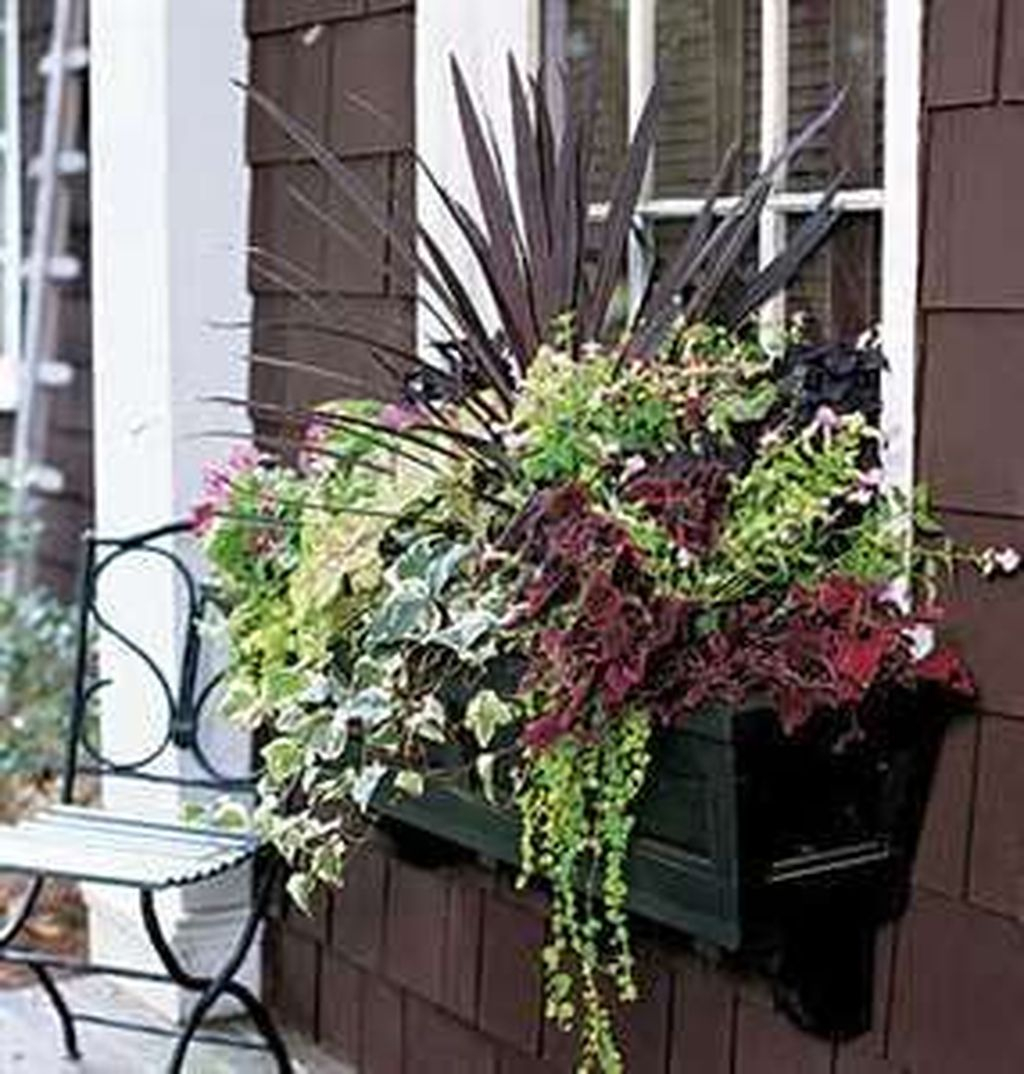 Amazing Windows Flower Boxes Design Ideas Must See19
