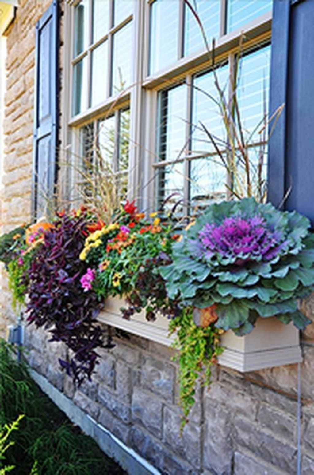Amazing Windows Flower Boxes Design Ideas Must See29